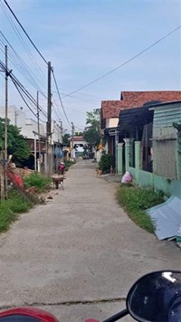 lê vũ hoàng yến