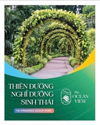 Nguyễn Trịnh