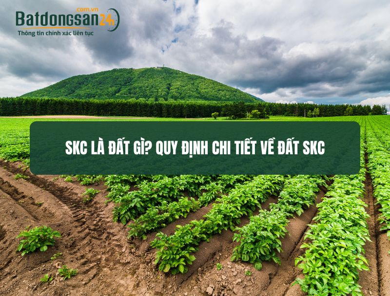 SKC là đất gì? Quy định chi tiết về đất SKC